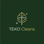 ТЕКО КЛИЙНС