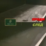 ТЕКО КЛИЙНС 14