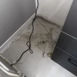 АГЕНТИ НА ЧИСТОТАТА 1