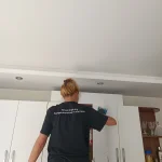 Vilven Cleaning 1